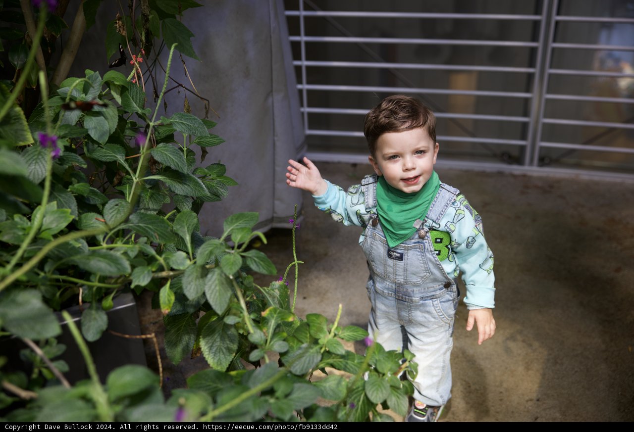Enthrallment in Overalls: A Young Botanist's Day Out