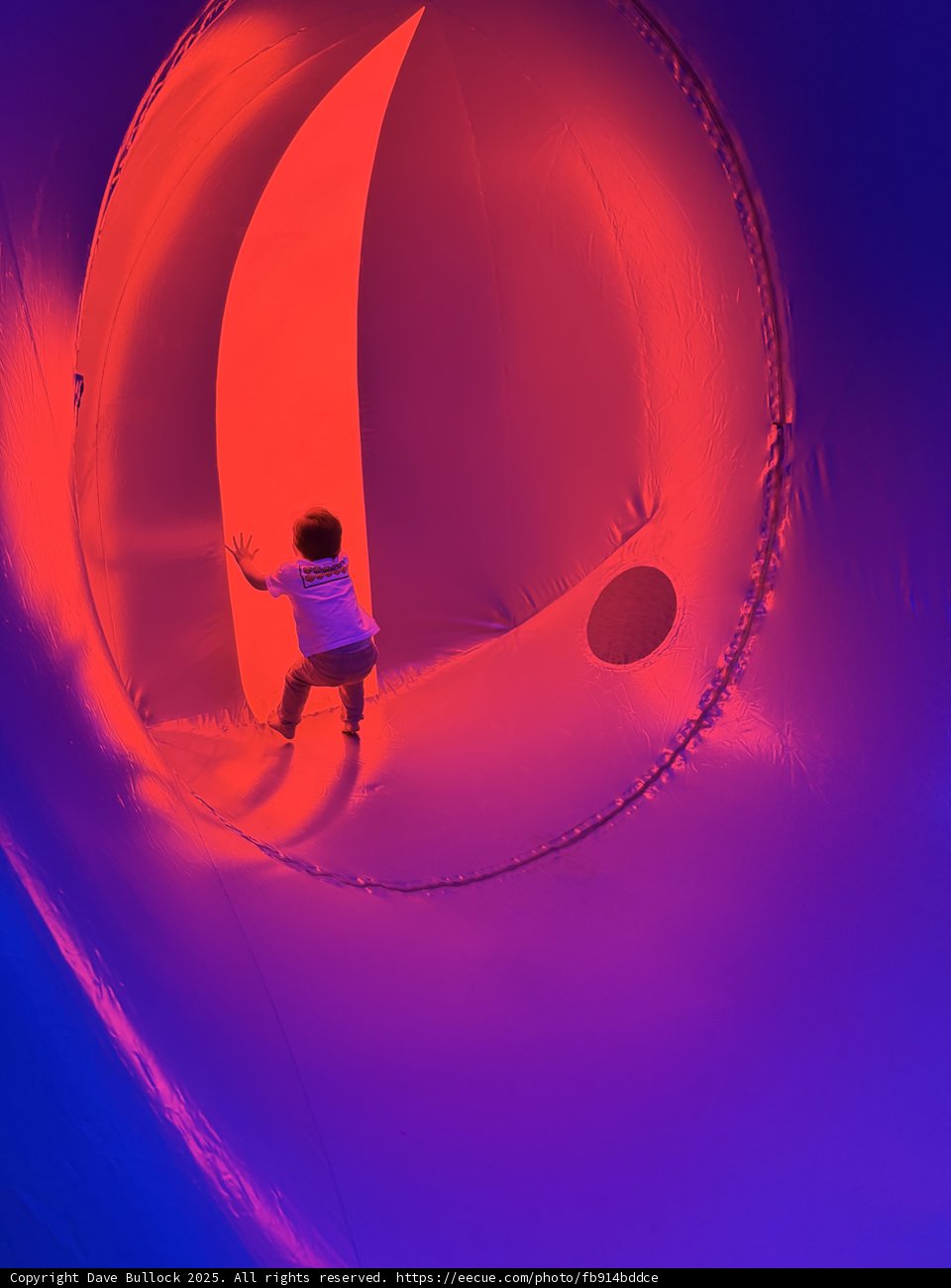 Into the Colorful Unknown