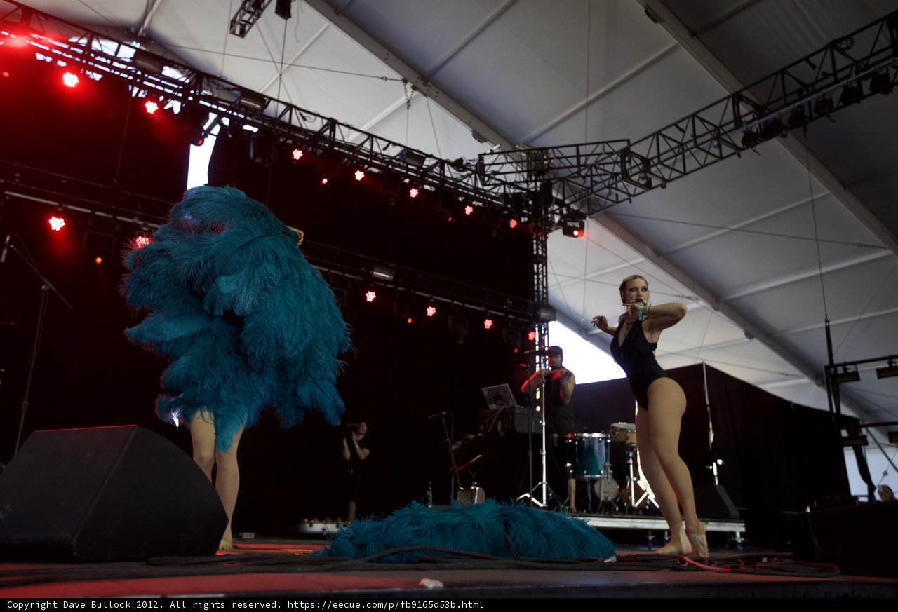 Blue Feathers Take the Stage