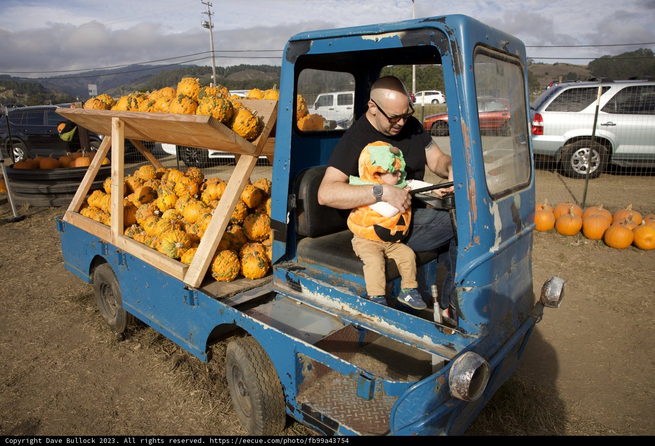 Dave's Harvest Adventure: Truck Tales & Pumpkin Patches