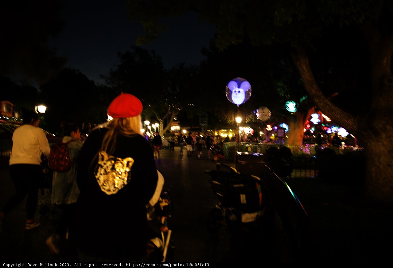 Magical Stroll through Disneyland
