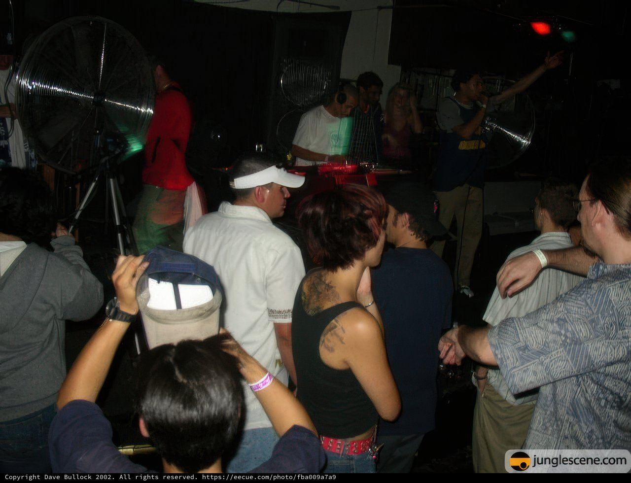 Nightclub Crowd Enjoys the Music