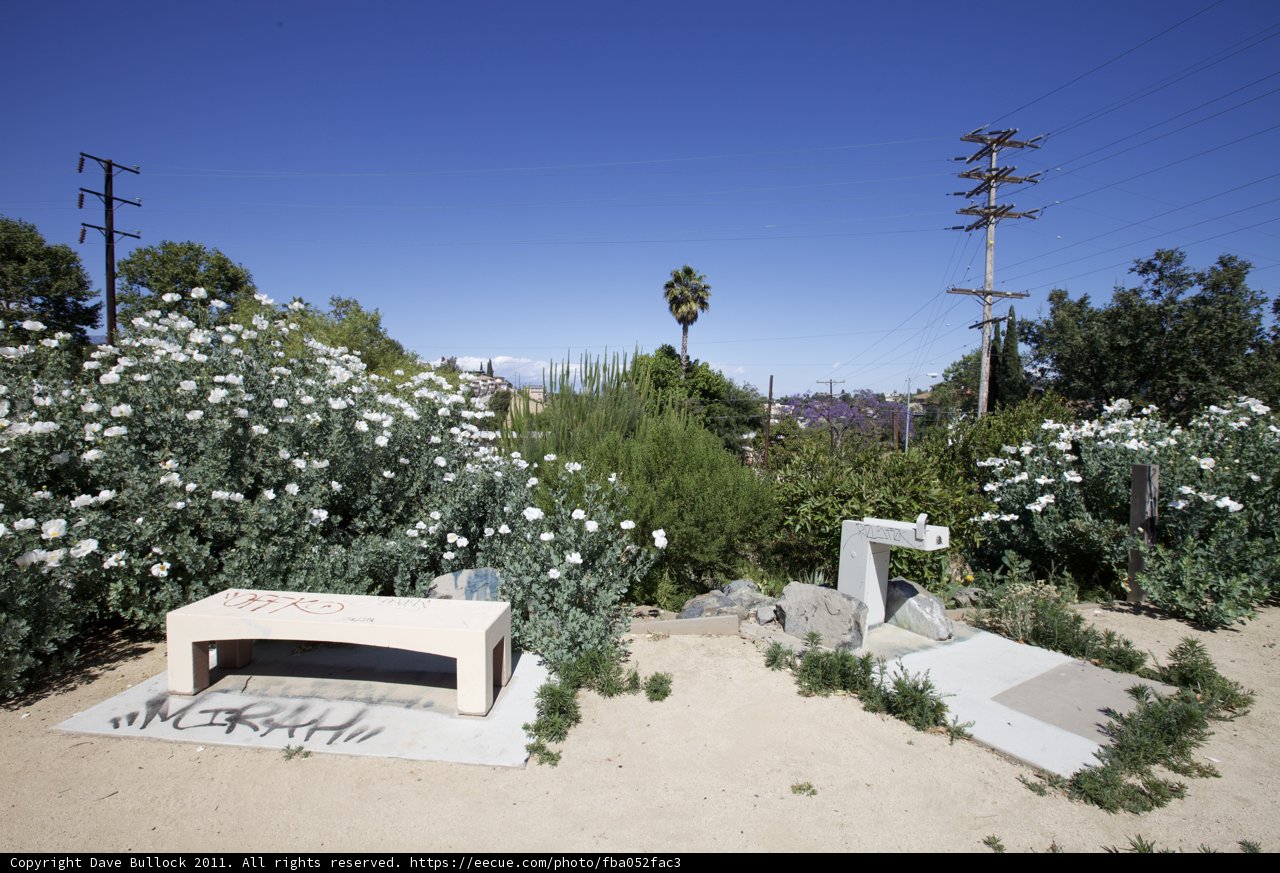 A Serene Oasis in the Desert