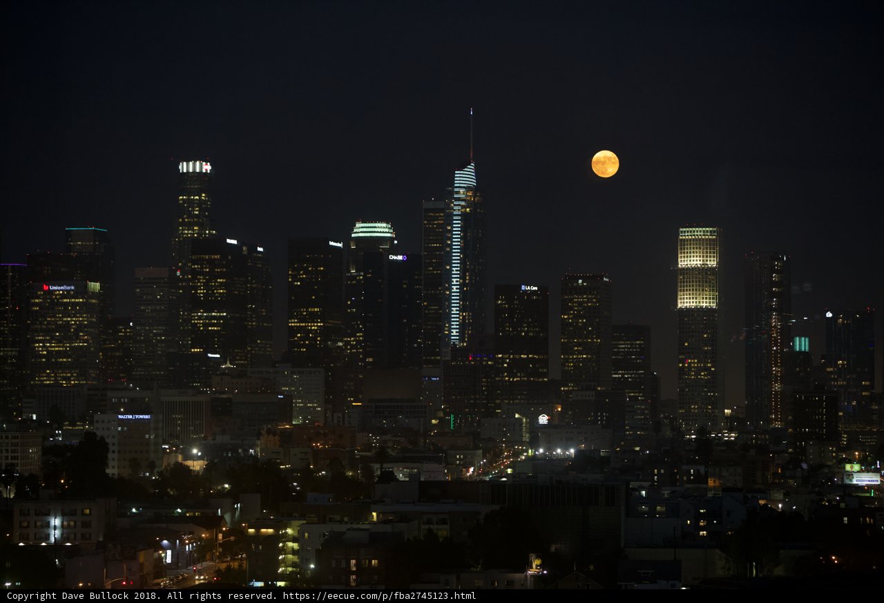 Moonrise Metropolis