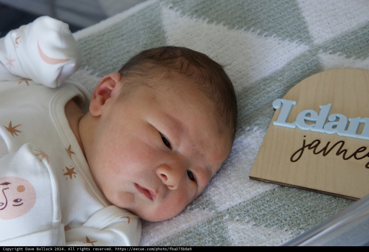 Welcome to the World, Leland