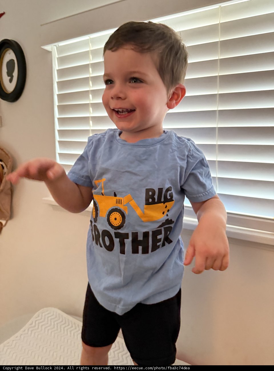 Big Brother in Action