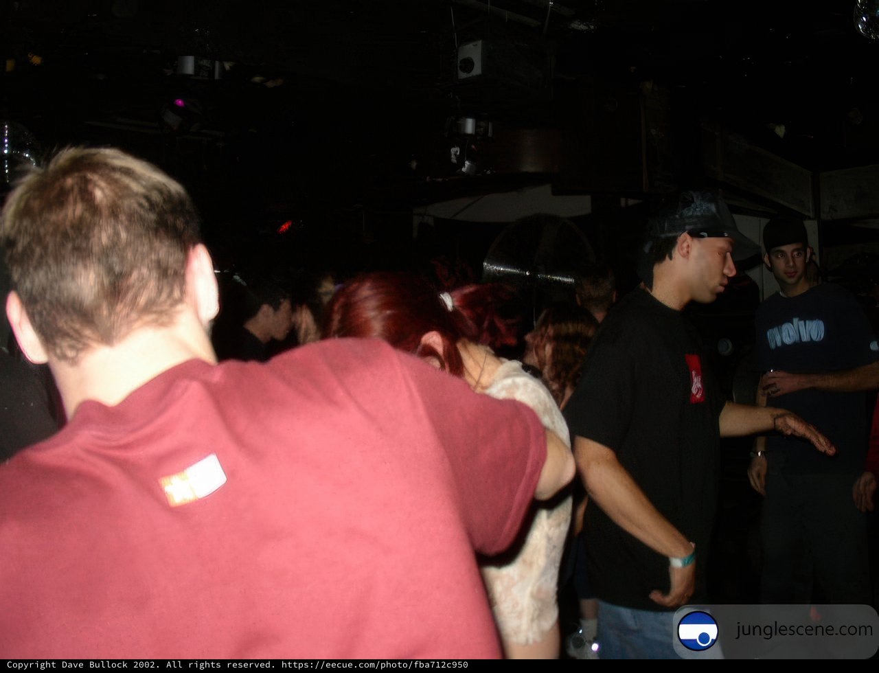 Nightclub Crowd Watching the Dance Floor