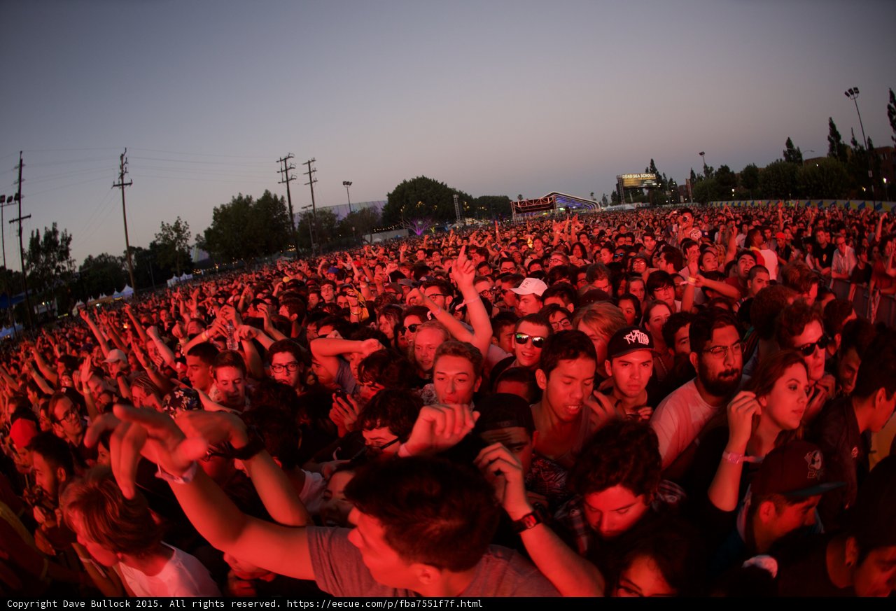 Dense Crowd at Dusk