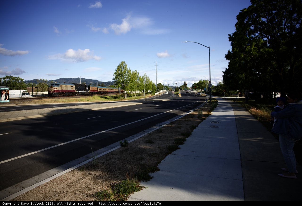 Capturing Trains in Napa Valley