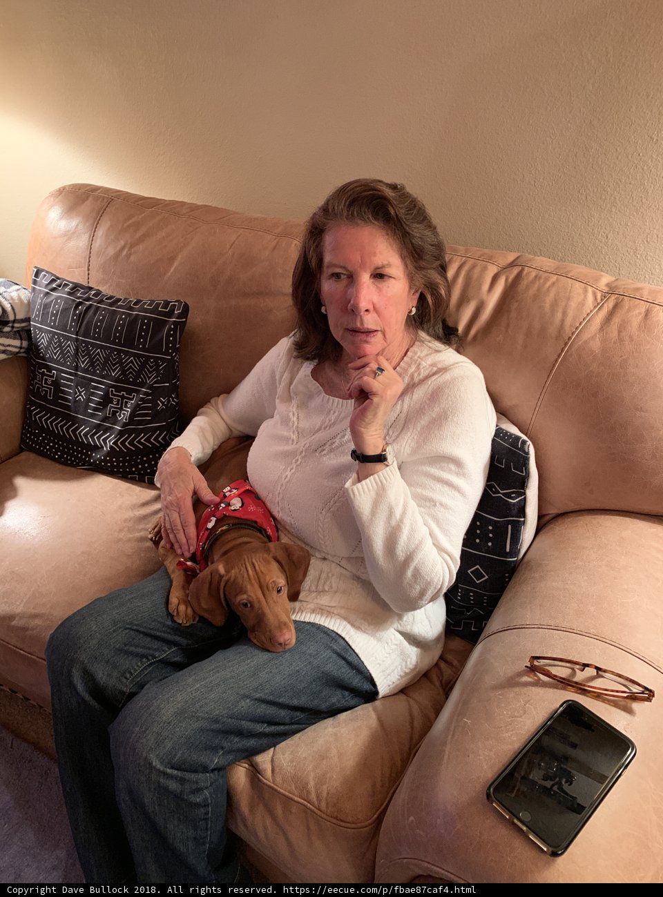 Comfort with a Canine Companion