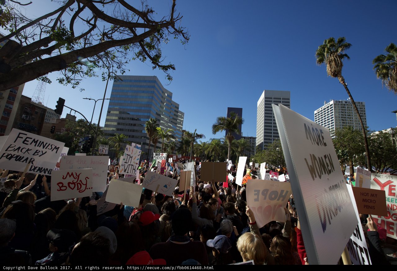 Women's Protest in Los Angeles