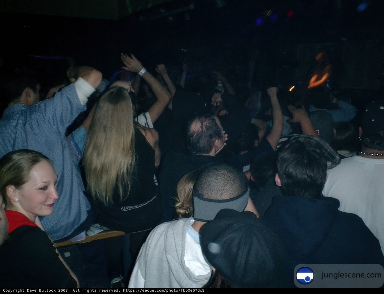 Partygoers Raise the Roof at Nightclub