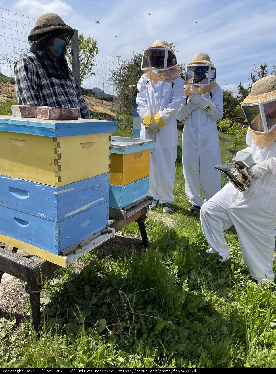 Beekeeping Brigade