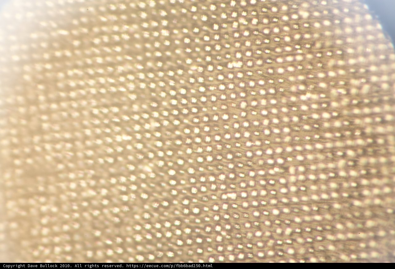 Polka Dot Linen Fabric