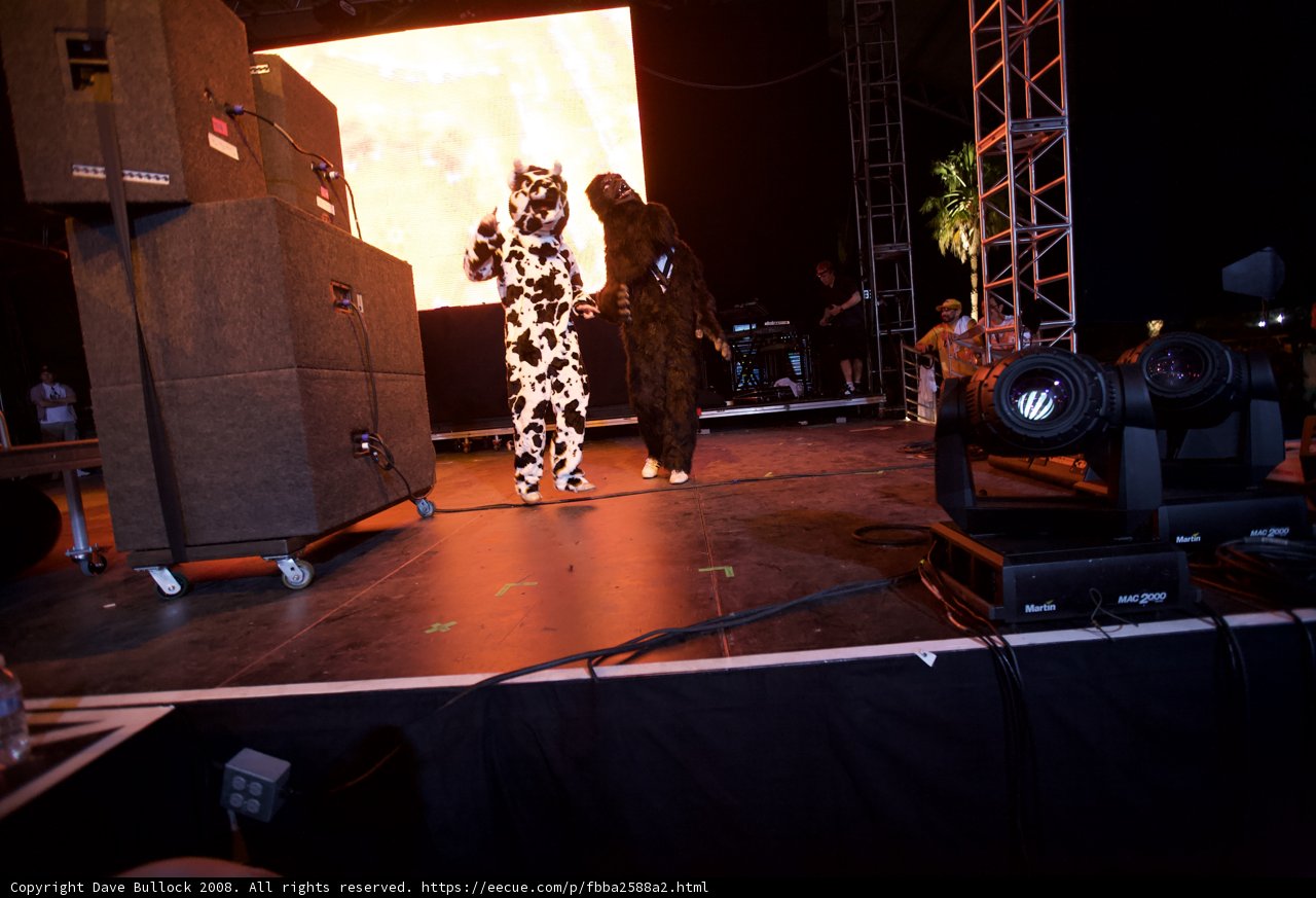 Costumed Couple Takes the Stage at Coachella
