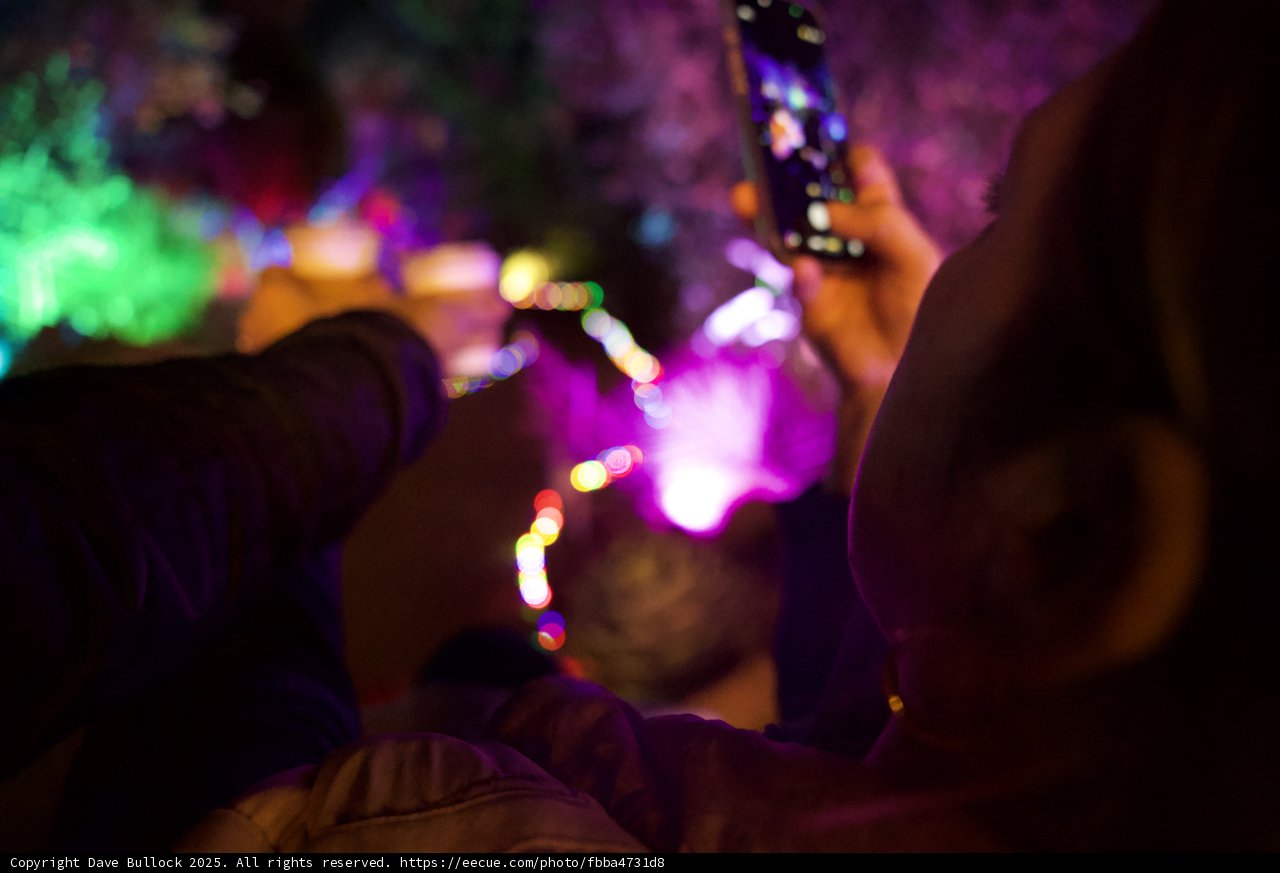 Illuminated Moments at Garden of D'Lights