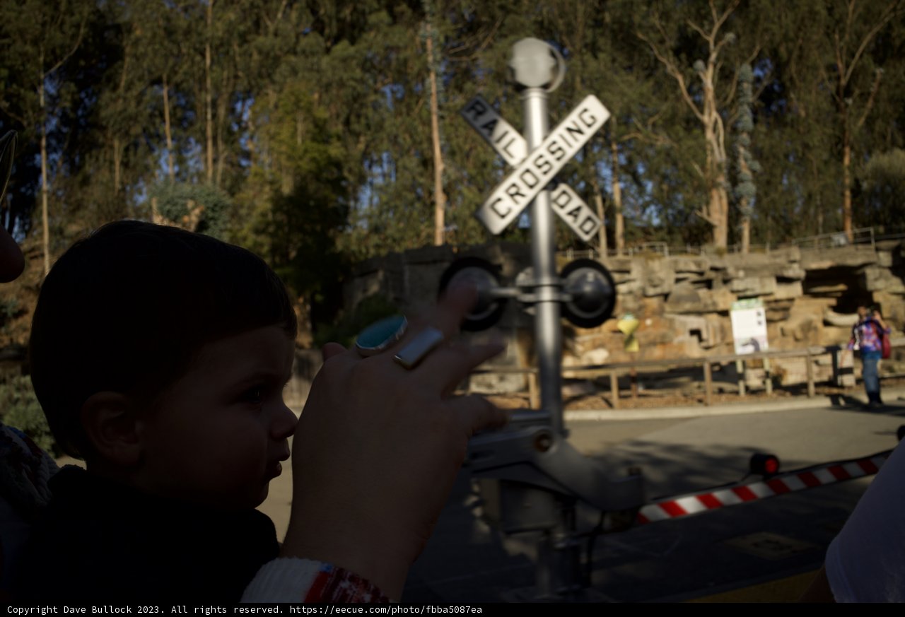 Curiosity at the Railroad Crossing