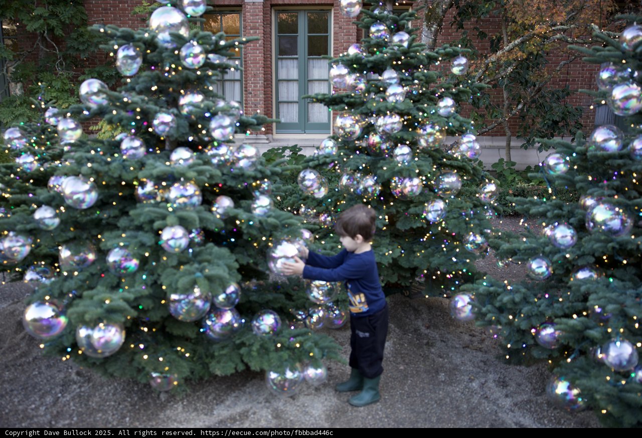 Enchanted Christmas at Thistlewyck