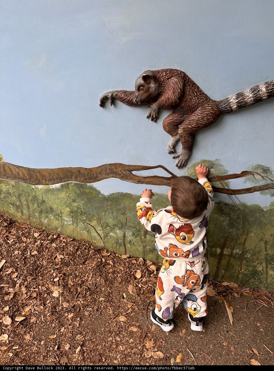 Curiosity Embraces Art