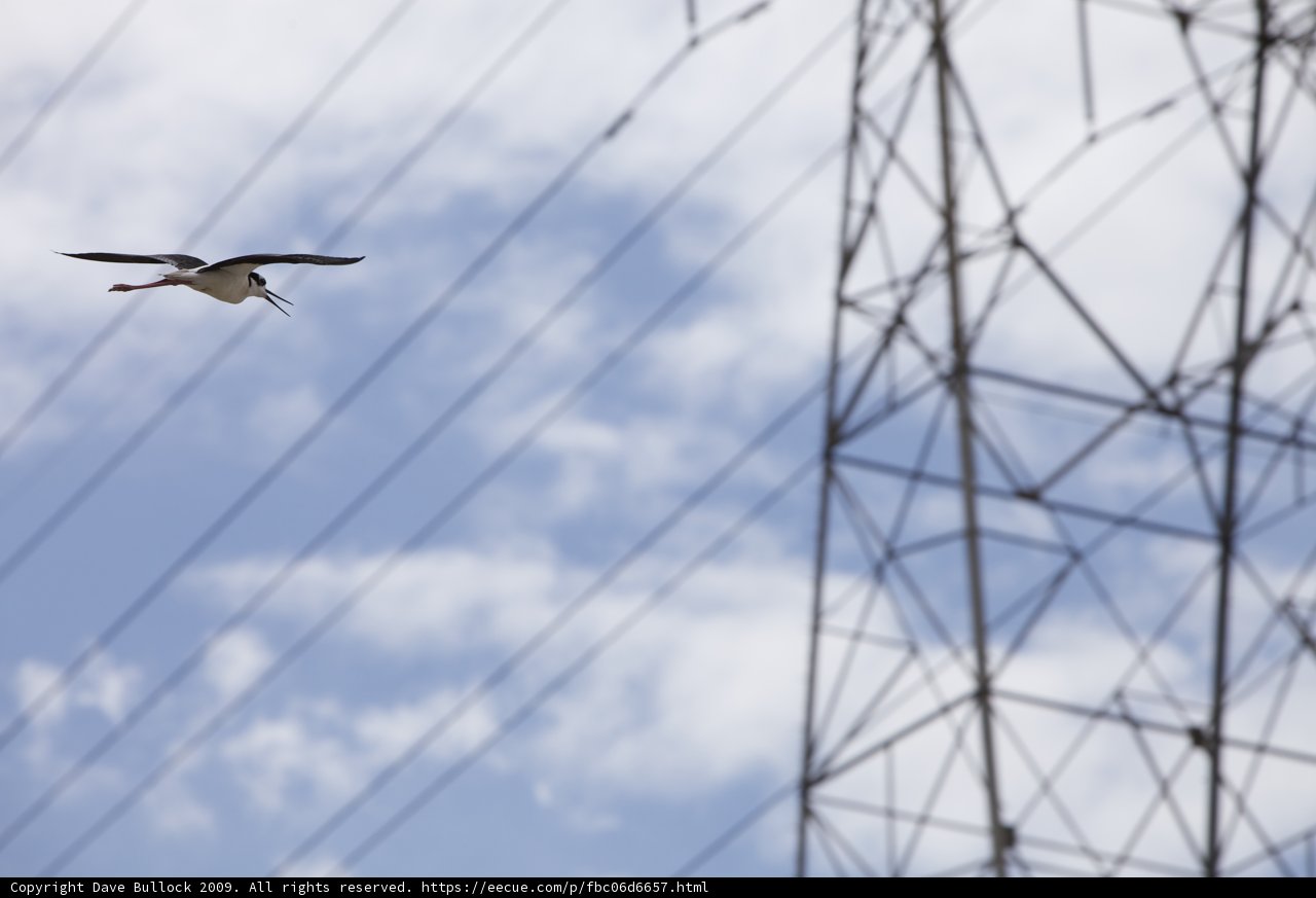 Flight over Power Lines