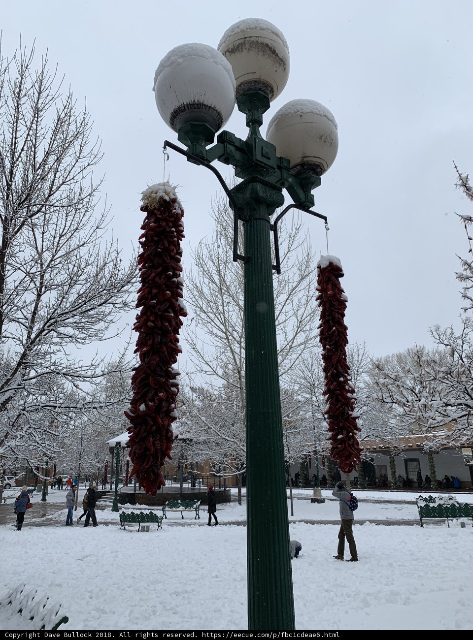 Red Pepper Street Light