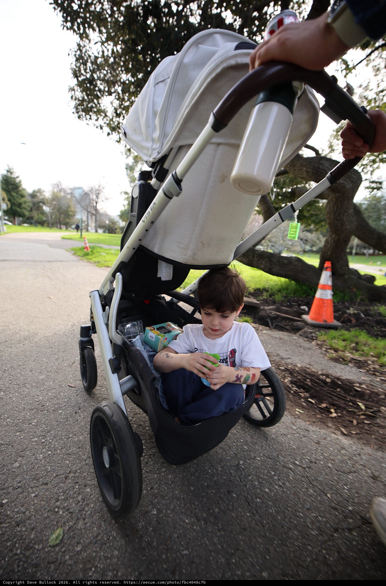 Child Playing with Toy While Walking in Stroller