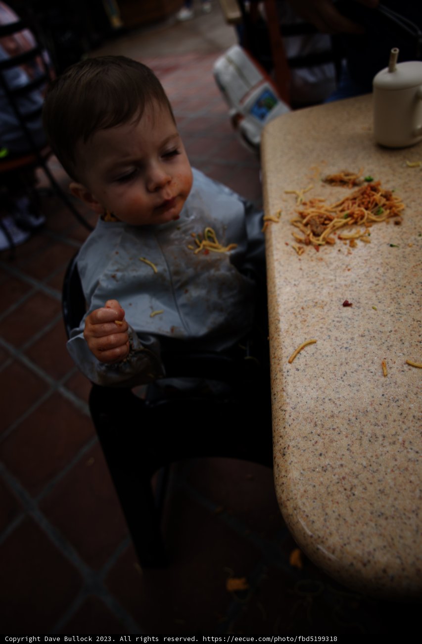 Little Foodie's Disney Adventure