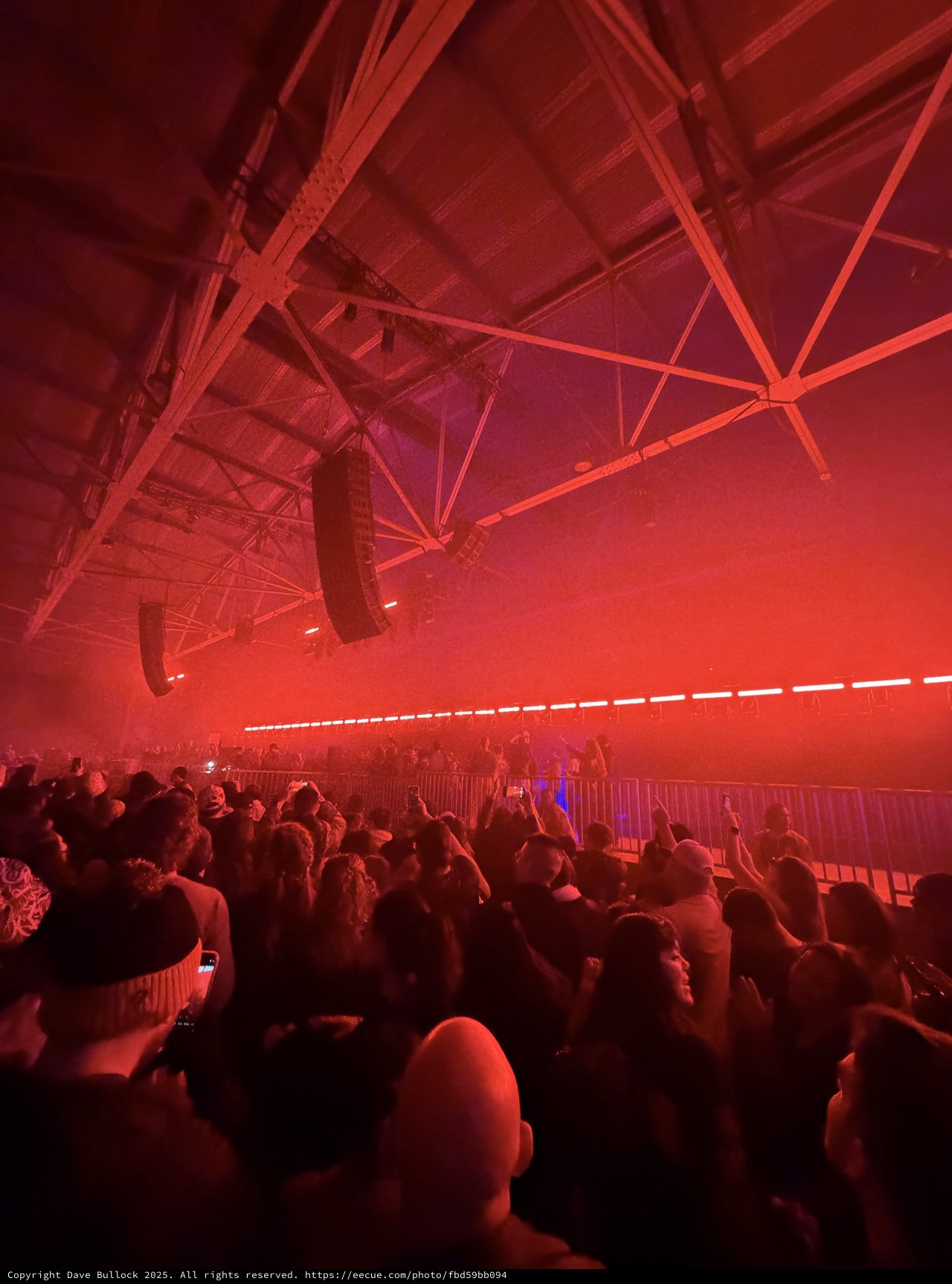 Red-Lit Crowd at Electronic Music Concert Event