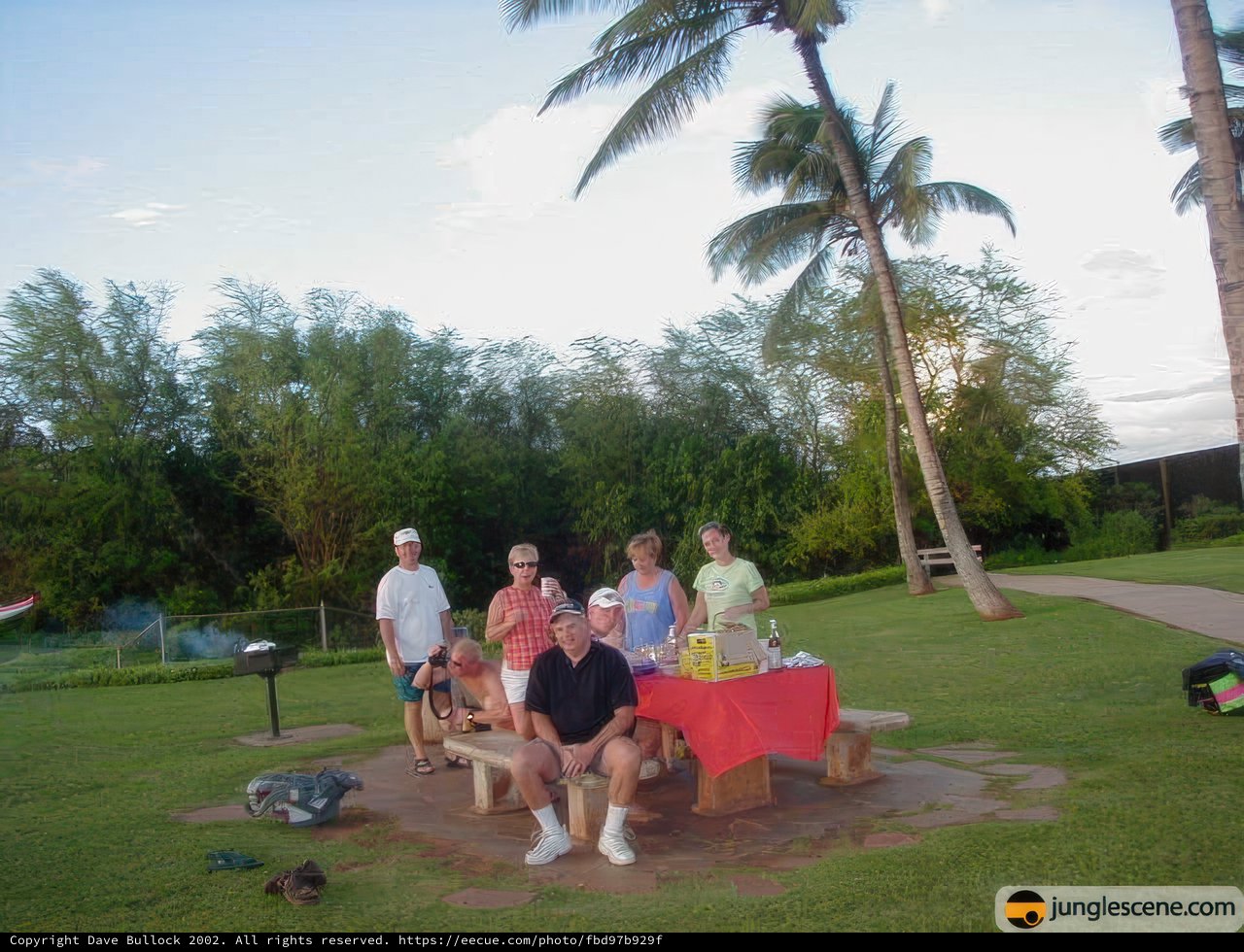 Picnic in Paradise