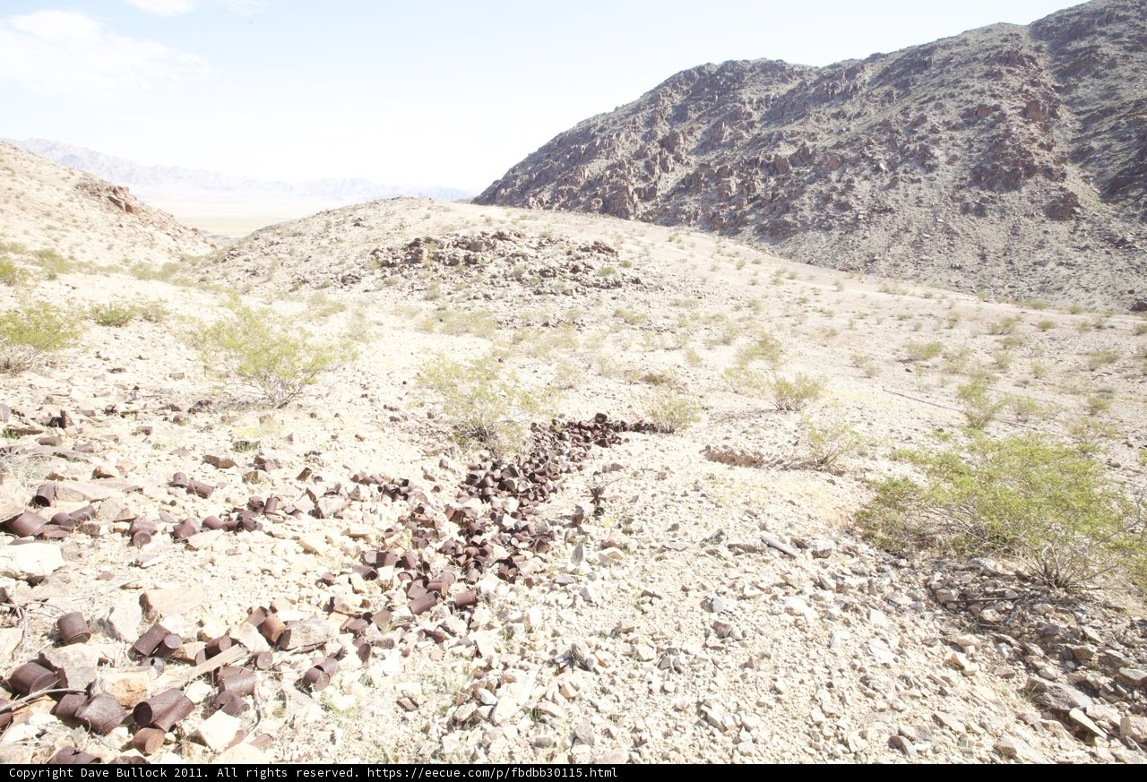 Desert wildlife on the move