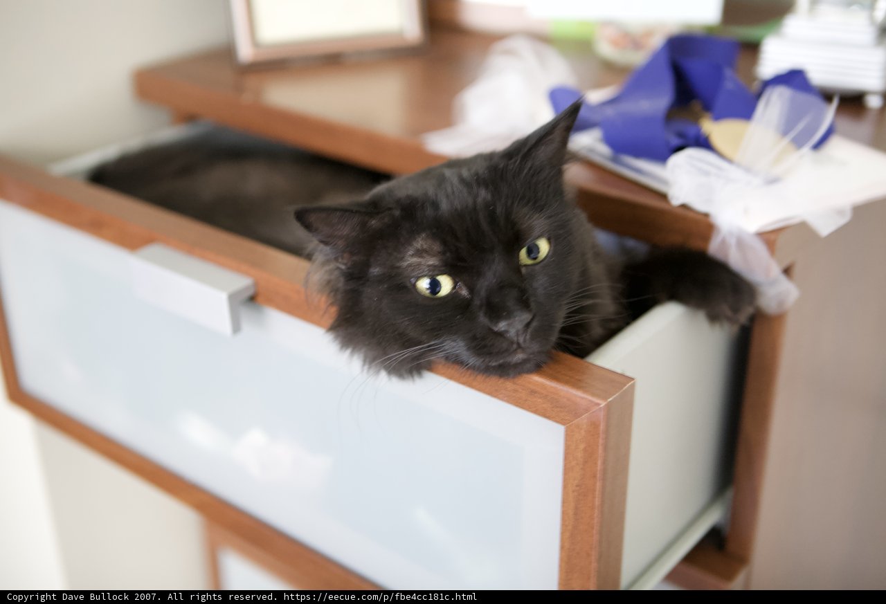 Drawer Dweller