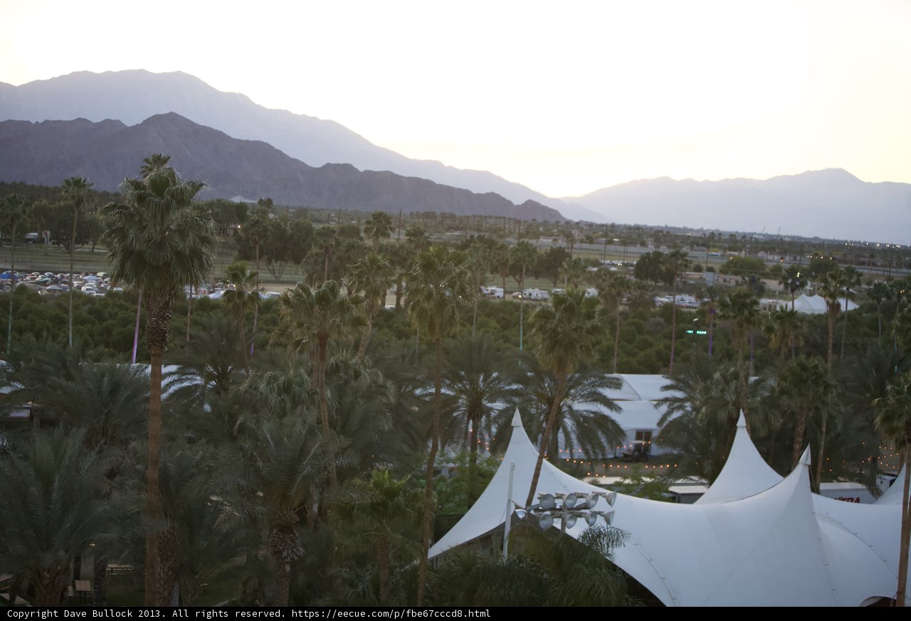 Camping in the Palm Trees