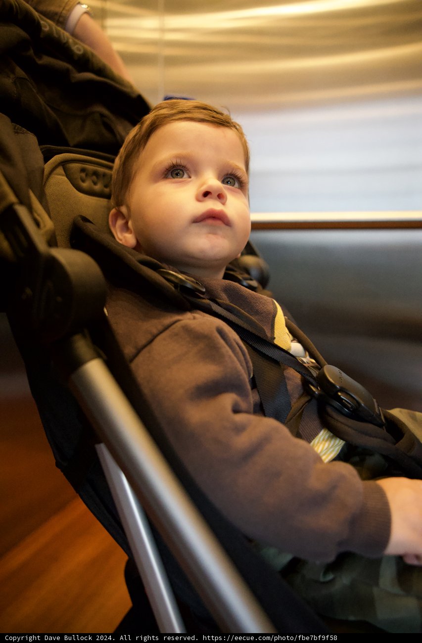 Curiosity Captured - An Infant's Gaze