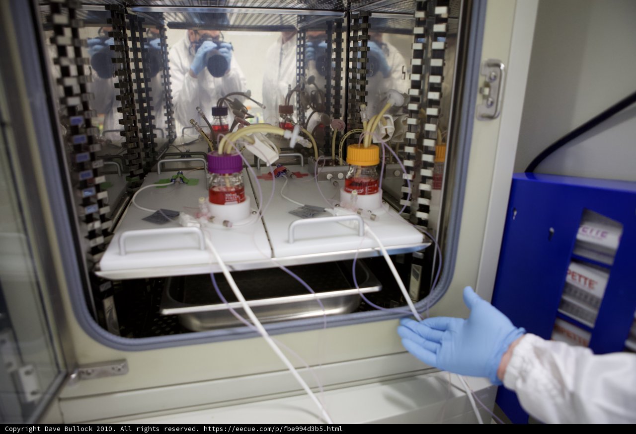 Lab Scientist Holds a Test Tube