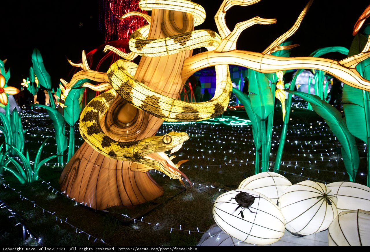 Serpent Under the Stars