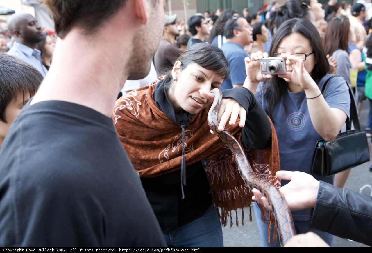 Man with Stick at Ozomatli Concert