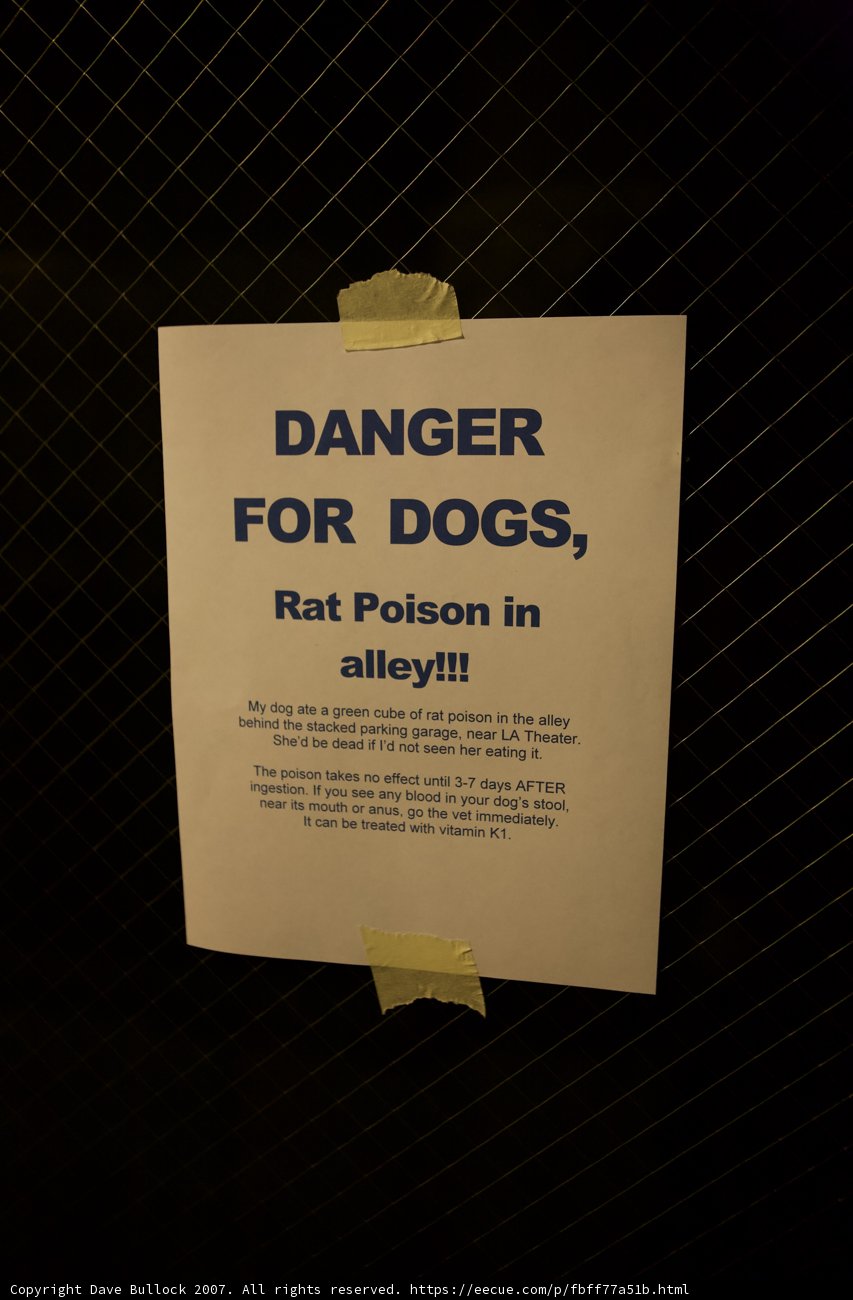 Warning Sign for Canines