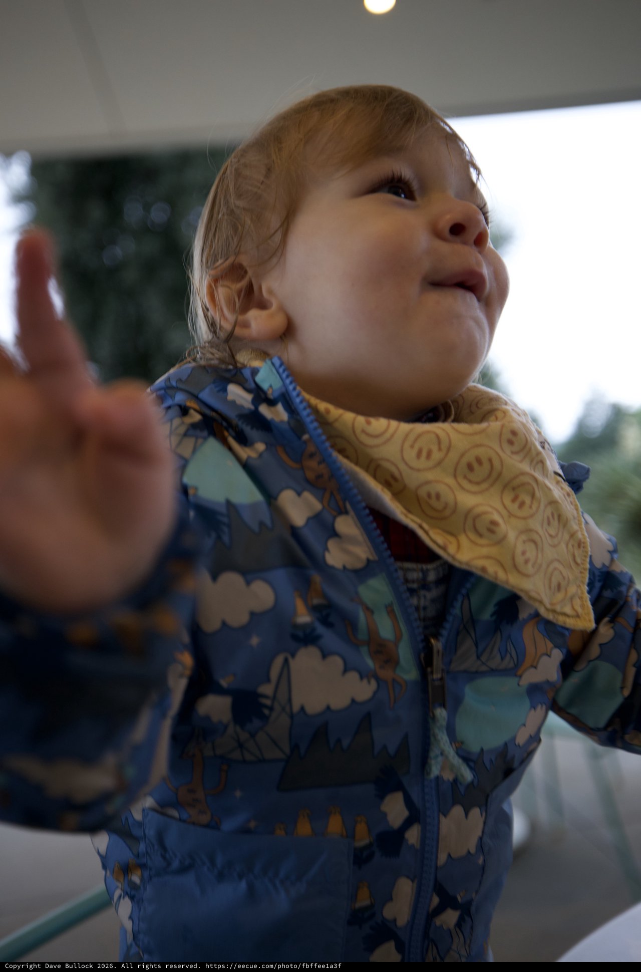 Joyful Toddler Reaching Upward with Wonder
