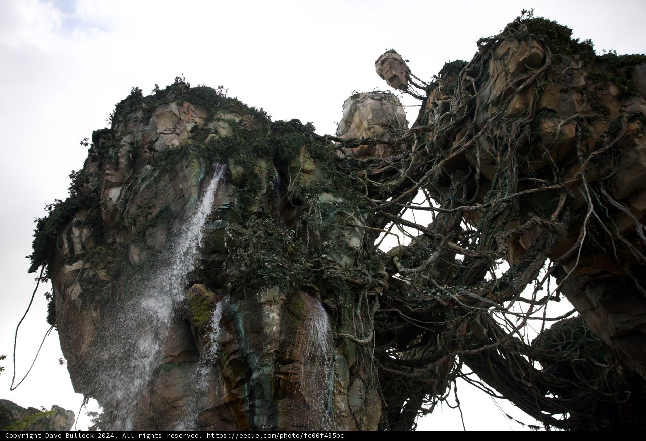 Vulture Haven by the Waterfall