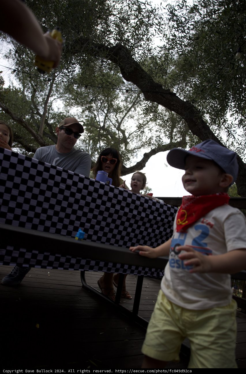 Joyful Celebrations Under the Trees