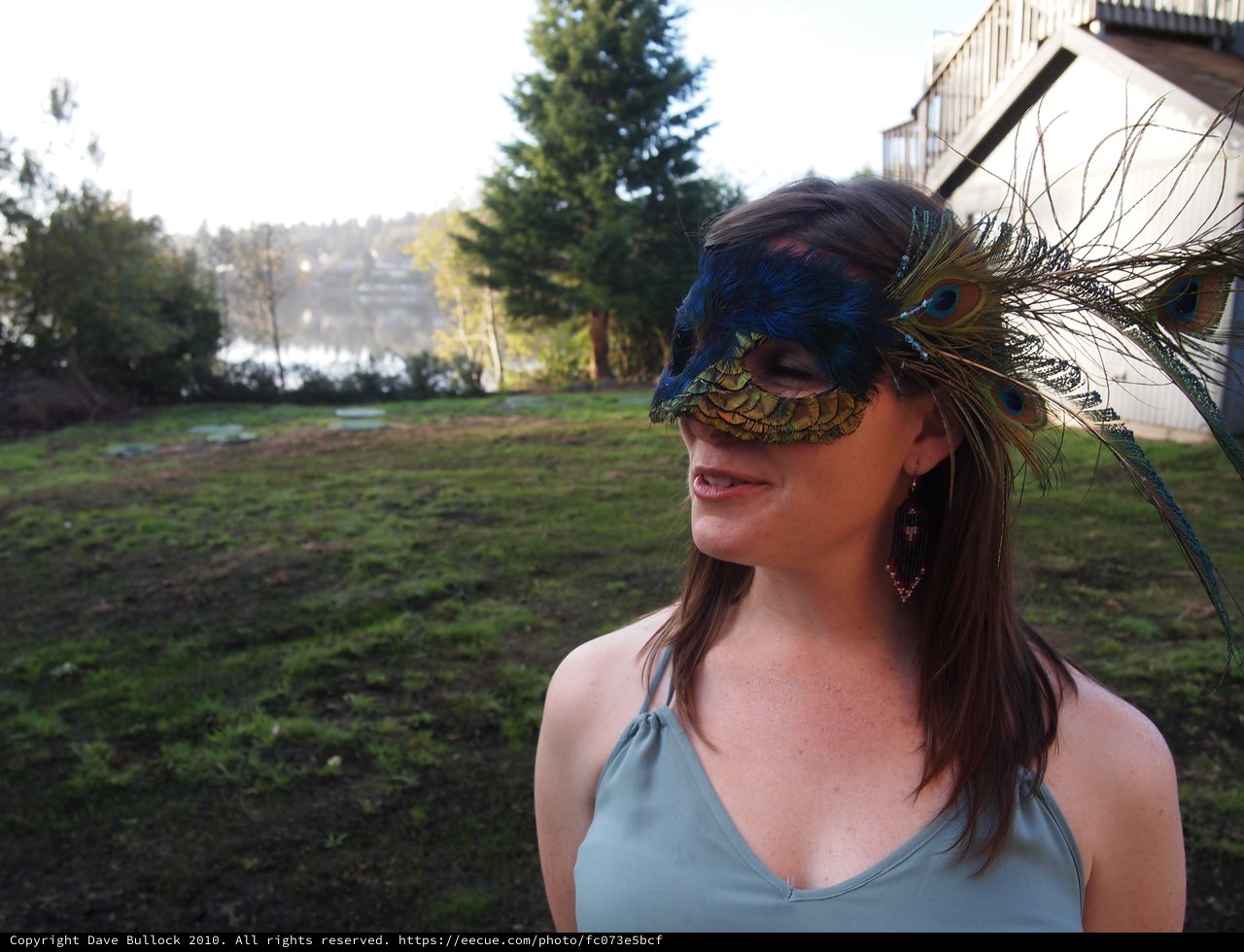 Peacock Masquerade: Feathered Mystery at Dusk