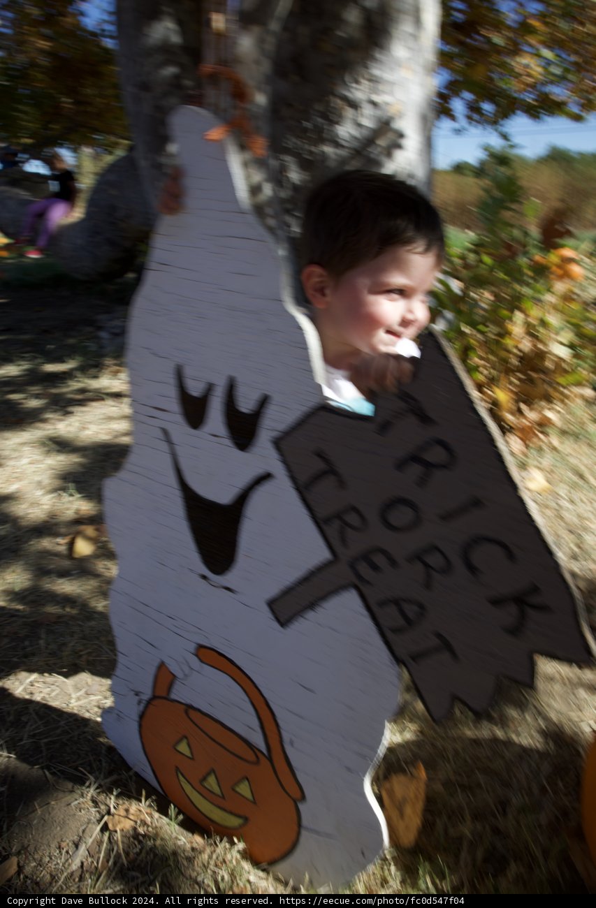 Autumn Playtime in Walnut Creek