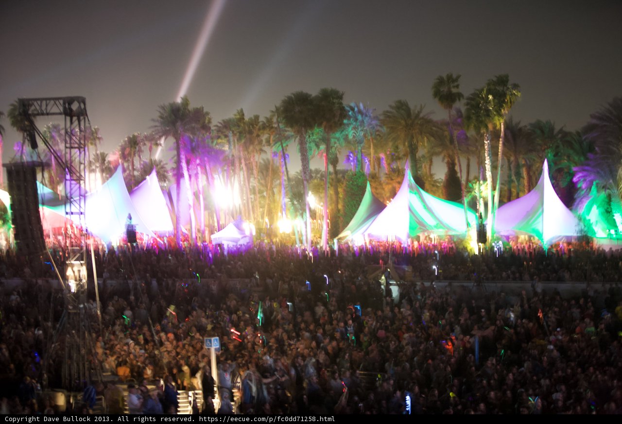 Rockin' Amongst the Trees