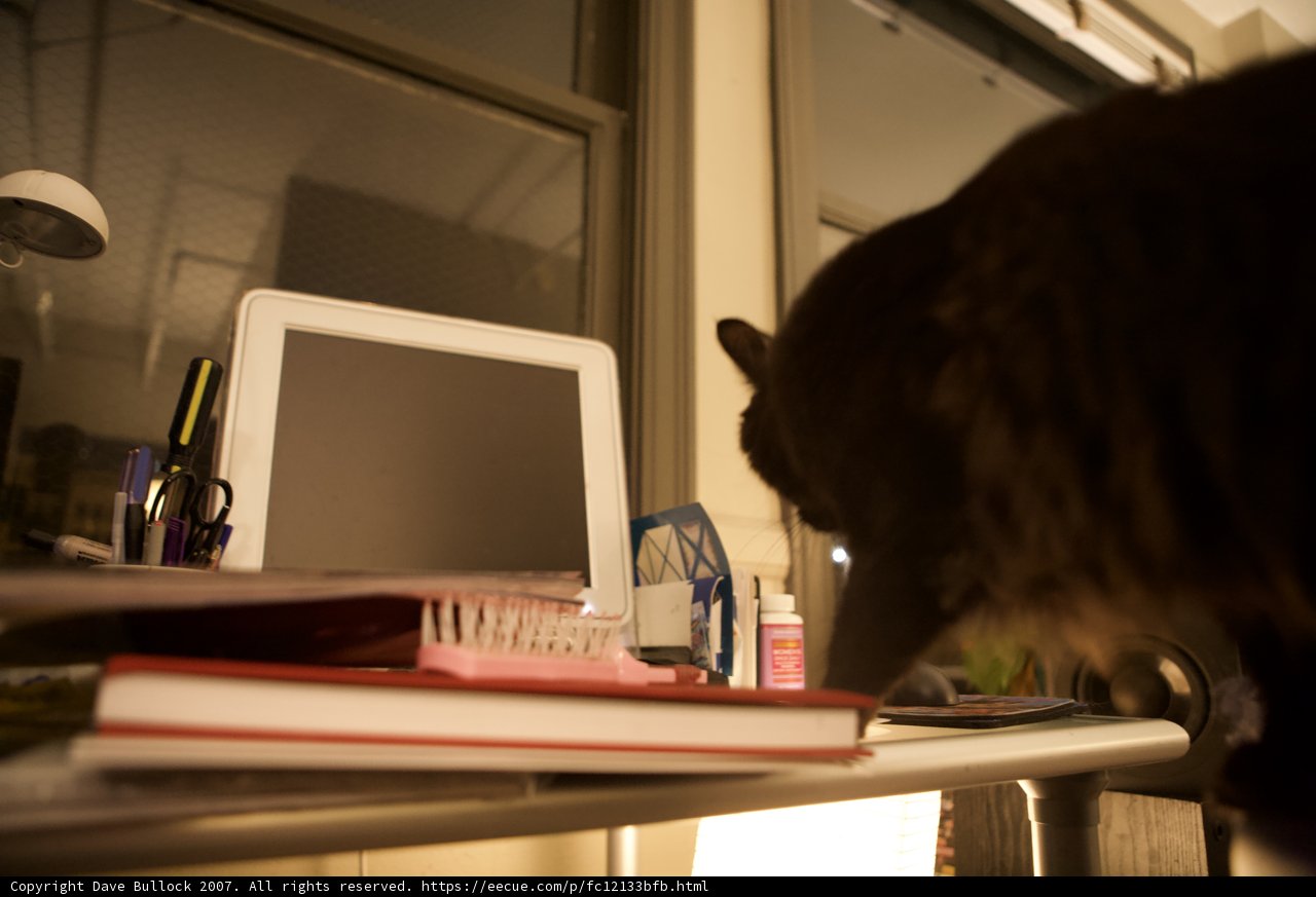 Feline Tech Support