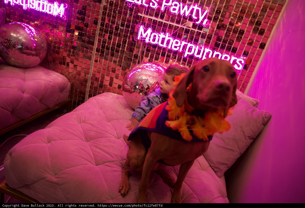 Hi-Li's Quirky Birthday Costume Soiree