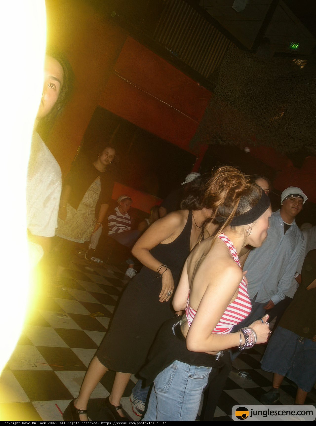 Nightclub Gathering