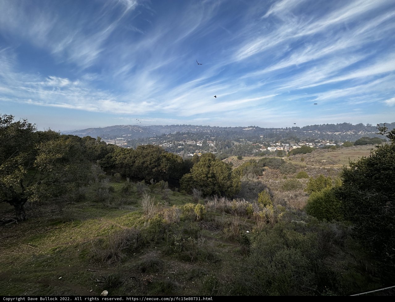 View from the Hillside