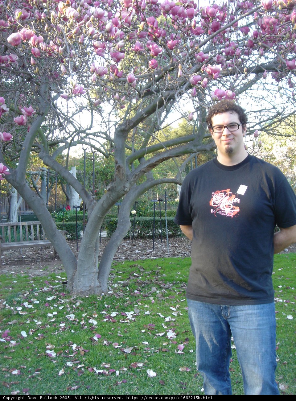 Man in a Blossoming Garden