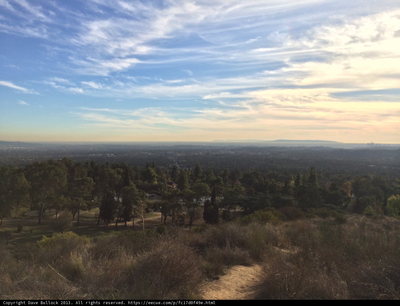 A Scenic View of Angeles National Forest