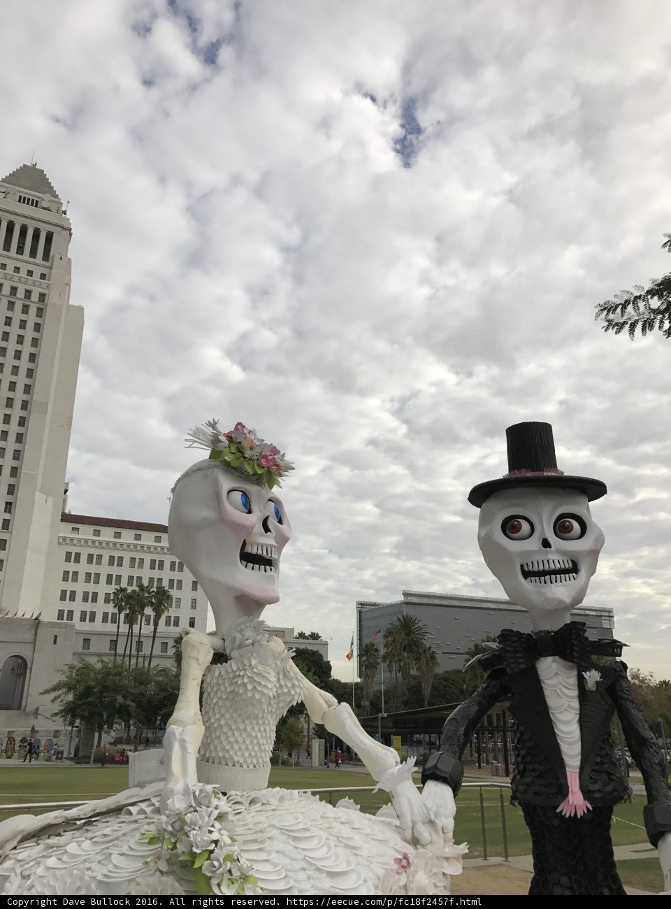 Eternally Wedded Skeletal Lovebirds